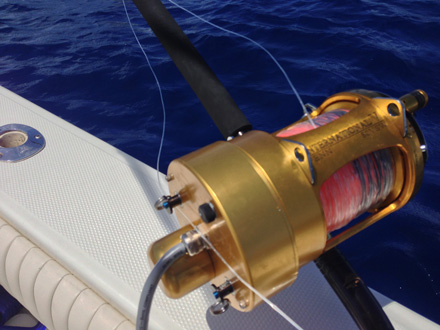 The new Hooker assist lets you put the sport back into deep-dropping for swordfish.