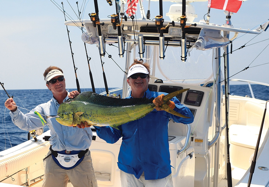  Green Turtle Abacos Dolphin run: Each spring and summer, hordes of dolphin invade Abaco&rsquo;s offshore waters, providing outstanding light-tackle action.