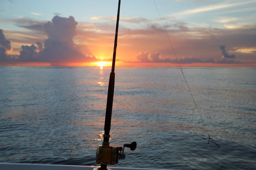 The positions of the sun and the moon predict when fish will feed.