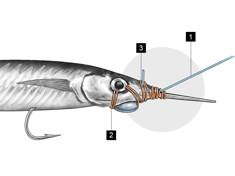 The weight and bill angle create diving action to get ballyhoo deep in the water.