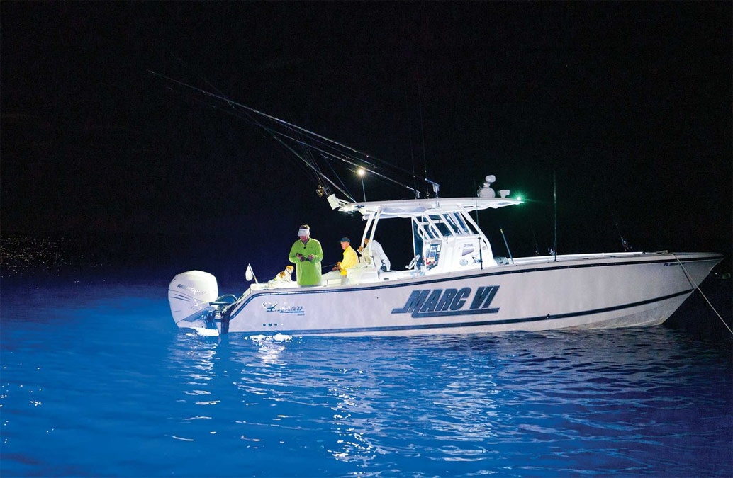 Broadcast illumination draws invertebrates and baitfish, followed by the predators.